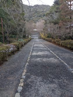 2022年　あけましておめでとうございます。