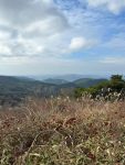 六甲山に登山( ´∀｀ )