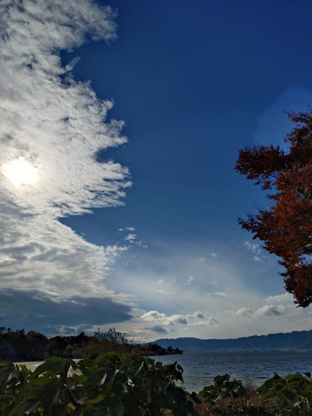 いろいろな繋がり