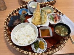 ほうちがいさん