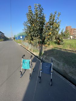 桃栗三年歩行器…