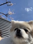 朝の癒し。