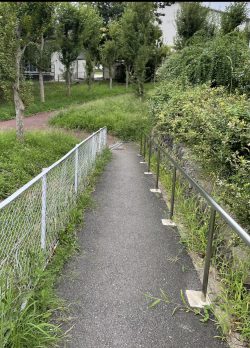 たしか4歳か5歳