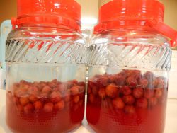 山桃のシロップ