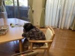 お昼過ぎ