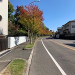 いつもの様に
