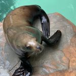 城崎マリンワールド