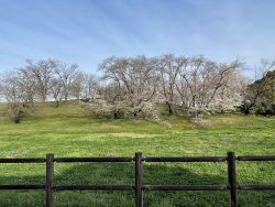 私の好きな景色