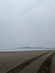 潮干狩り