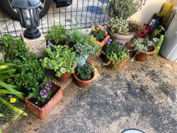 休みの過ごし方