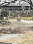 動物園