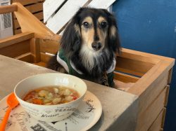続き。。