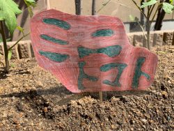 まつばら農園♪