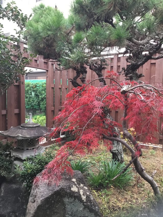 真冬に向けて！