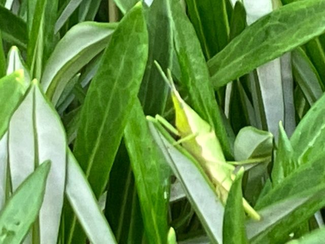 ～可愛い♡！！～