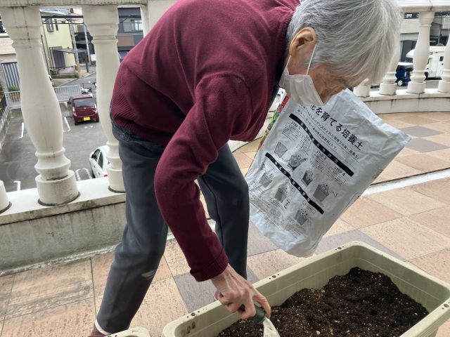 ♡れんげ草の種まき♡