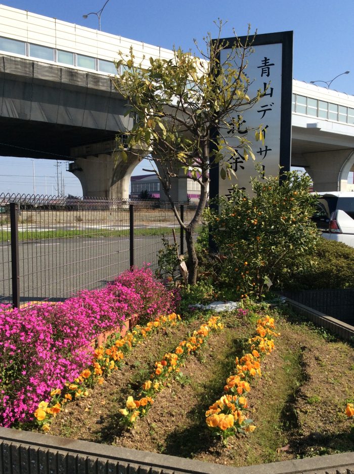 今年も植えました