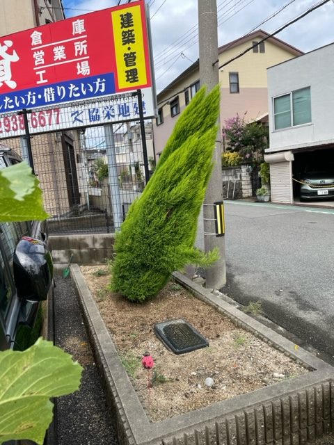 台風🌀が過ぎ去り…