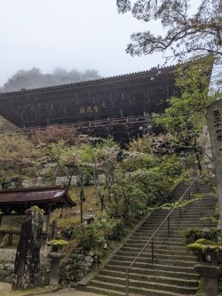 雨の中