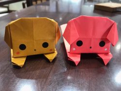 可愛いわんこ💗