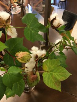 ～～～　長　月　～～～