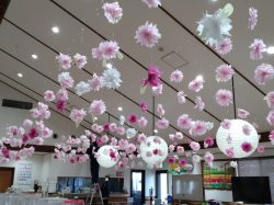 さくら　パート2