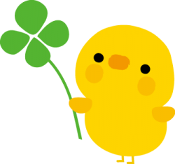 庭のお花を摘んで押し花しました✿