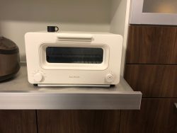 念願の・・・。