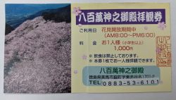 八百萬神之御殿の桜と脇町うだつの町並み（徳島）