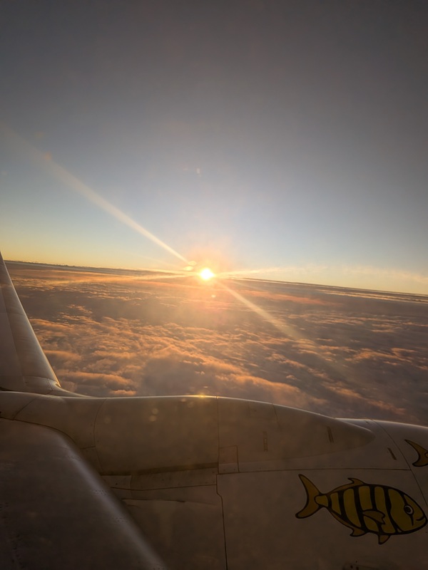 2026年「初日の出フライト in 沖縄」搭乗記！
