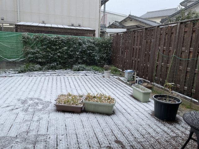 雪景色